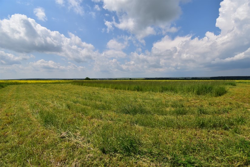 Działka Sprzedaż - świętokrzyskie, jędrzejowski, Sędziszów, Boleścice