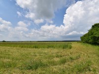 Działka Sprzedaż - świętokrzyskie, jędrzejowski, Sędziszów, Boleścice