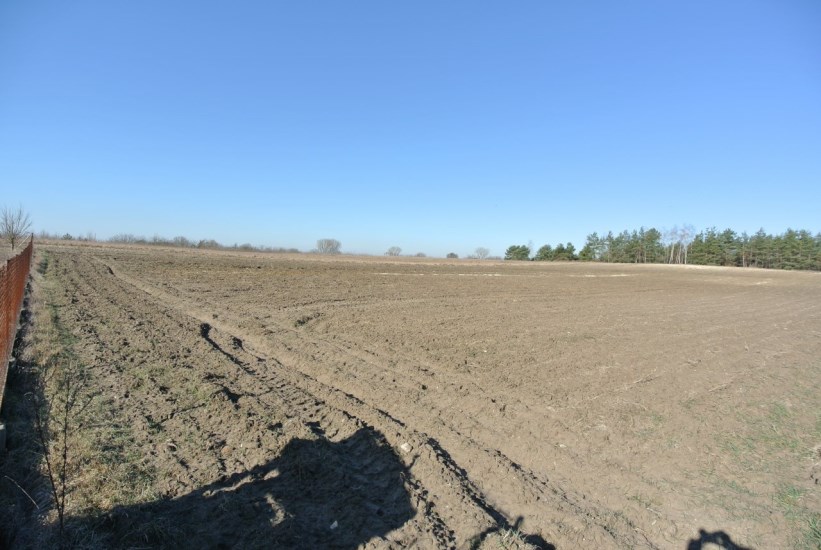 Działka Sprzedaż - świętokrzyskie, kielecki, Chmielnik, Chomentówek