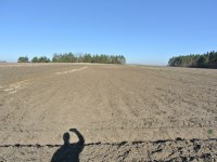 Działka Sprzedaż - świętokrzyskie, kielecki, Chmielnik, Chomentówek