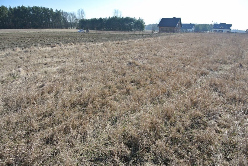 Działka Sprzedaż - świętokrzyskie, kielecki, Chmielnik, Chomentówek