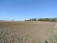 Działka Sprzedaż - świętokrzyskie, kielecki, Chmielnik, Chomentówek