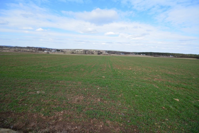 Dom Sprzedaż - świętokrzyskie, kielecki, Morawica, Radomice