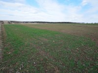 Dom Sprzedaż - świętokrzyskie, kielecki, Morawica, Radomice