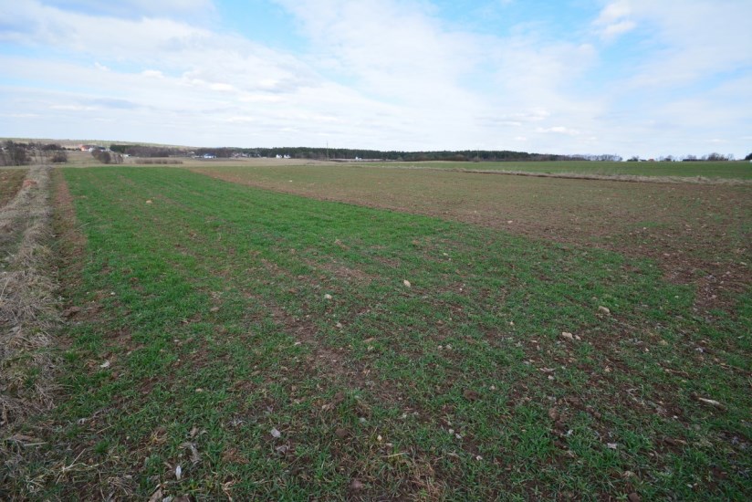 Dom Sprzedaż - świętokrzyskie, kielecki, Morawica, Radomice