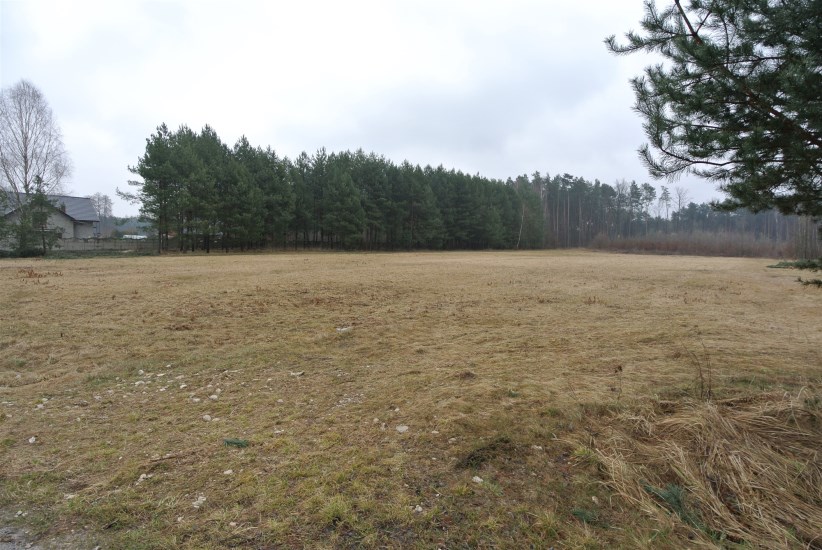 Działka Sprzedaż - świętokrzyskie, kielecki, Chmielnik, Grabowiec