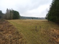 Działka Sprzedaż - świętokrzyskie, kielecki, Chmielnik, Grabowiec