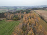 Działka Sprzedaż - świętokrzyskie, starachowicki, Pawłów, Pokrzywnica