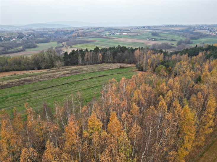 Działka Sprzedaż - świętokrzyskie, starachowicki, Pawłów, Pokrzywnica