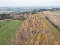Działka Sprzedaż - świętokrzyskie, starachowicki, Pawłów, Pokrzywnica