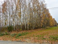 Działka Sprzedaż - świętokrzyskie, starachowicki, Pawłów, Pokrzywnica
