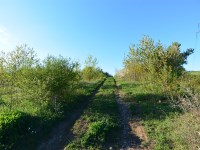 Działka Sprzedaż - świętokrzyskie, Kielce m., Kielce, Nowy Folwark