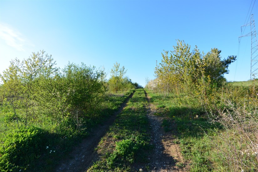 Działka Sprzedaż - świętokrzyskie, Kielce m., Kielce, Nowy Folwark
