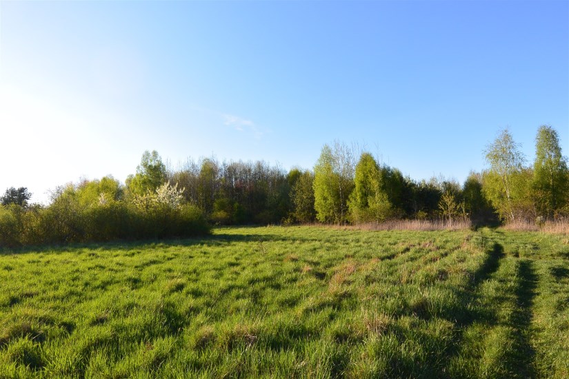 Działka Sprzedaż - świętokrzyskie, Kielce m., Kielce, Nowy Folwark