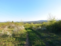 Działka Sprzedaż - świętokrzyskie, Kielce m., Kielce, Nowy Folwark