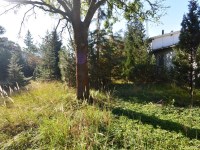 Działka Sprzedaż - mazowieckie, pruszkowski, Brwinów (gw), Otrębusy