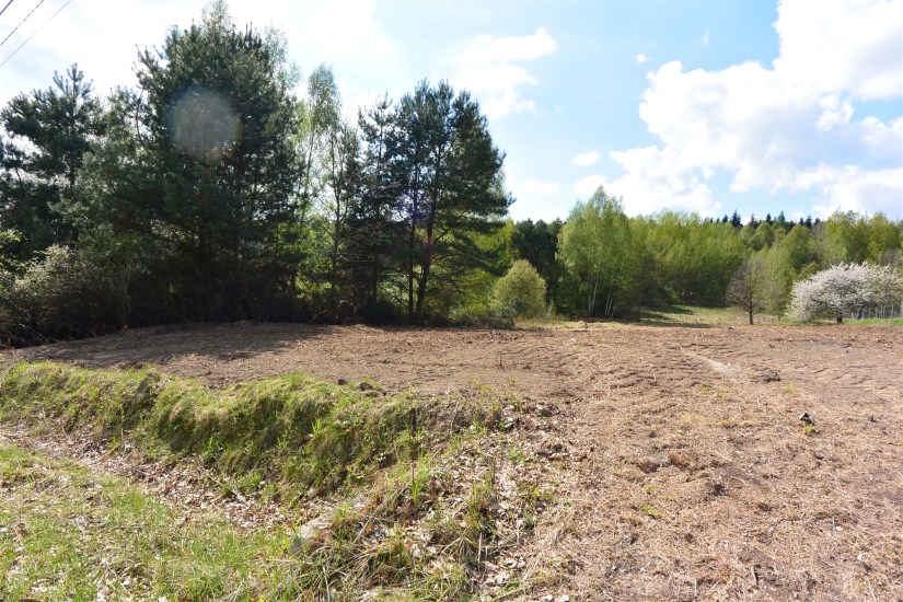 Działka Sprzedaż - świętokrzyskie, kielecki, Daleszyce, Cisów