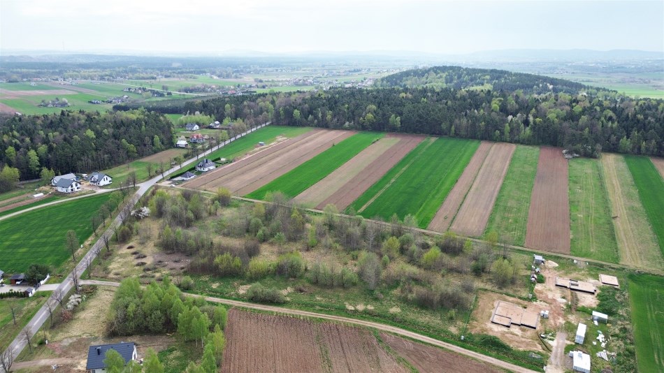 Działka Sprzedaż - świętokrzyskie, kielecki, Strawczyn, Oblęgorek