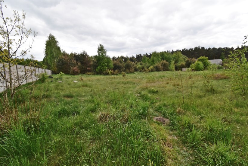 Działka Sprzedaż - świętokrzyskie, jędrzejowski, Nagłowice
