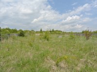 Działka Sprzedaż - świętokrzyskie, buski, Busko-Zdrój, Wolica