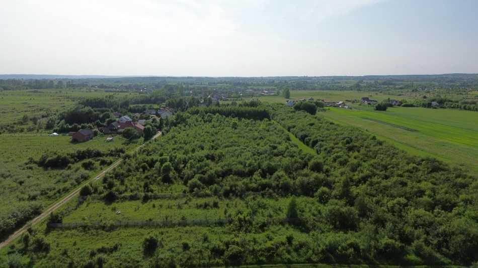 Działka Sprzedaż - świętokrzyskie, buski, Busko-Zdrój, Wolica