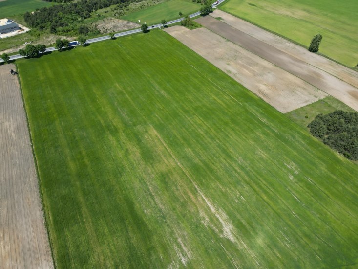 Działka Sprzedaż - świętokrzyskie, buski, Busko-Zdrój, Młyny
