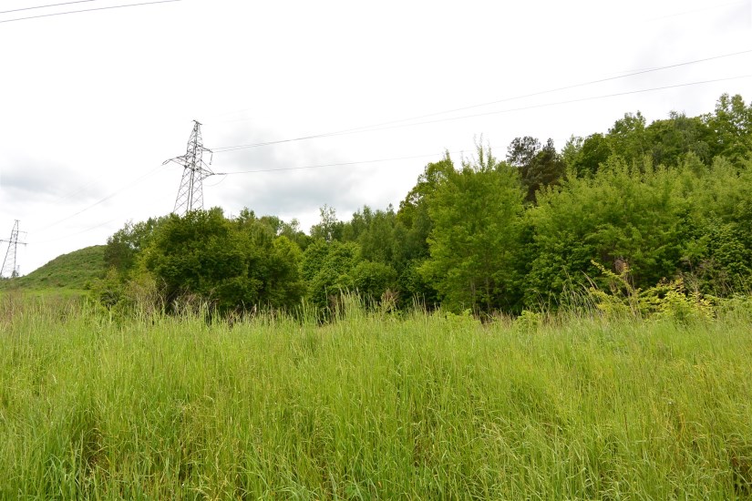 Działka Sprzedaż - świętokrzyskie, starachowicki, Wąchock