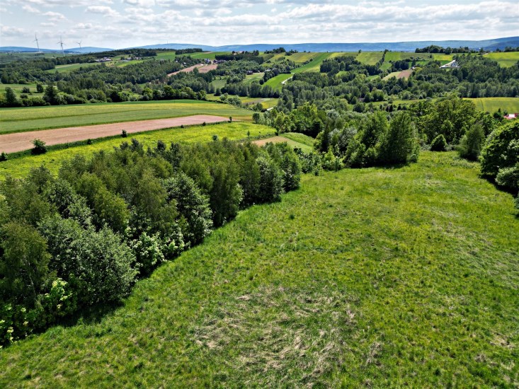 Działka Sprzedaż - świętokrzyskie, starachowicki, Pawłów, Bronkowice