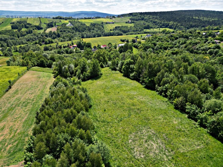 Działka Sprzedaż - świętokrzyskie, starachowicki, Pawłów, Bronkowice
