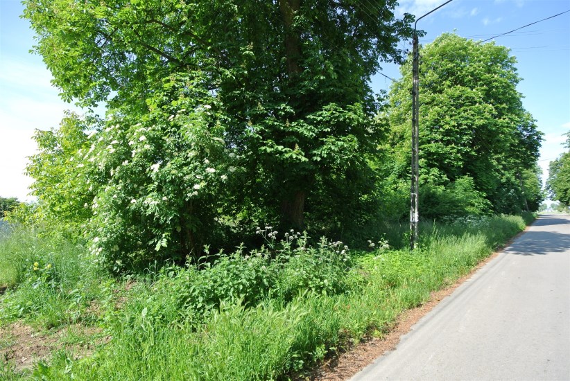 Działka Sprzedaż - świętokrzyskie, buski, Stopnica
