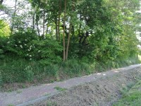 Działka Sprzedaż - świętokrzyskie, buski, Stopnica