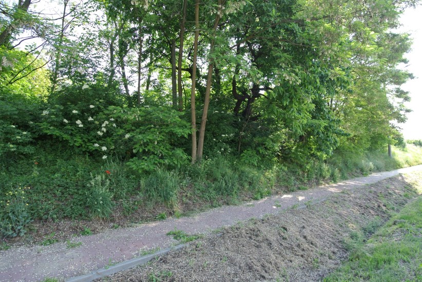 Działka Sprzedaż - świętokrzyskie, buski, Stopnica