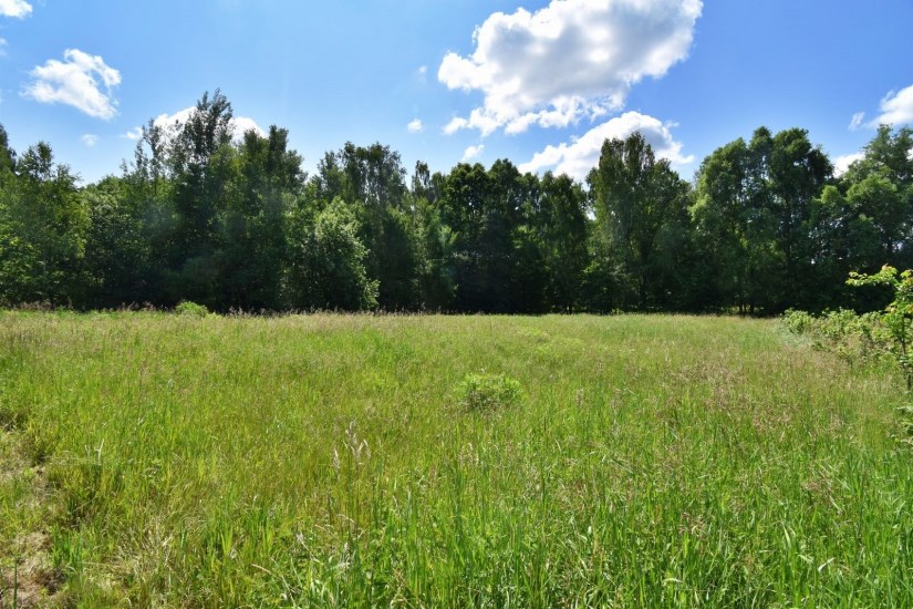 Działka Sprzedaż - świętokrzyskie, kielecki, Nowa Słupia, Serwis