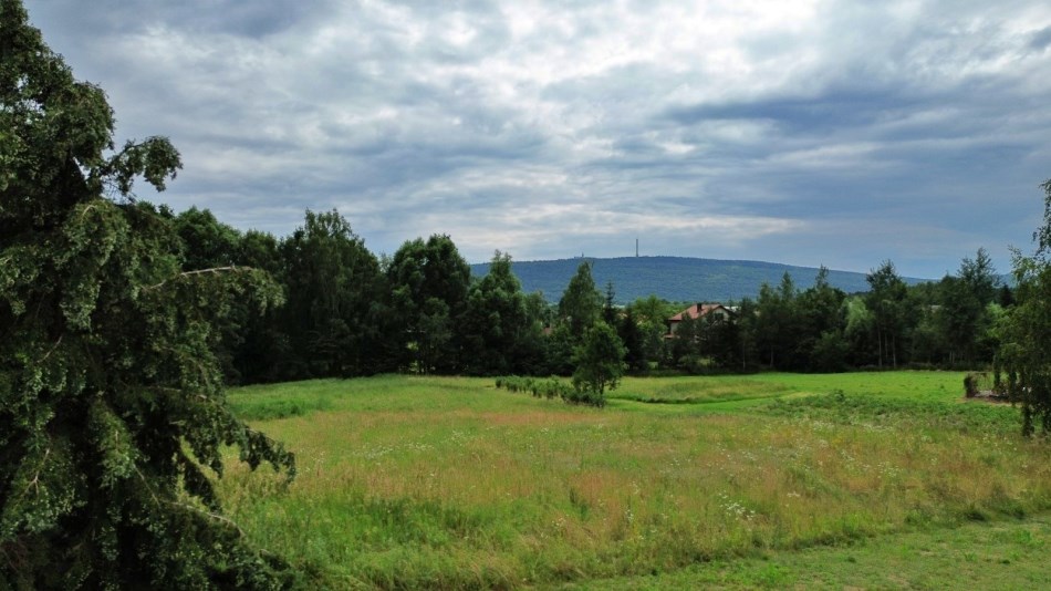 Działka Sprzedaż - świętokrzyskie, kielecki, Nowa Słupia, Serwis