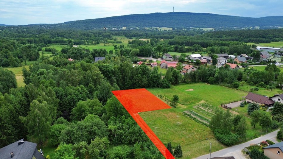 Działka Sprzedaż - świętokrzyskie, kielecki, Nowa Słupia, Serwis