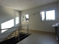 Hala Wynajem - świętokrzyskie, starachowicki, Starachowice, Wierzbnik