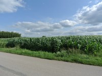 Działka Sprzedaż - świętokrzyskie, buski, Wiślica, Łatanice