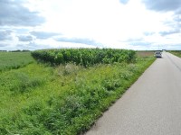 Działka Sprzedaż - świętokrzyskie, buski, Wiślica, Łatanice