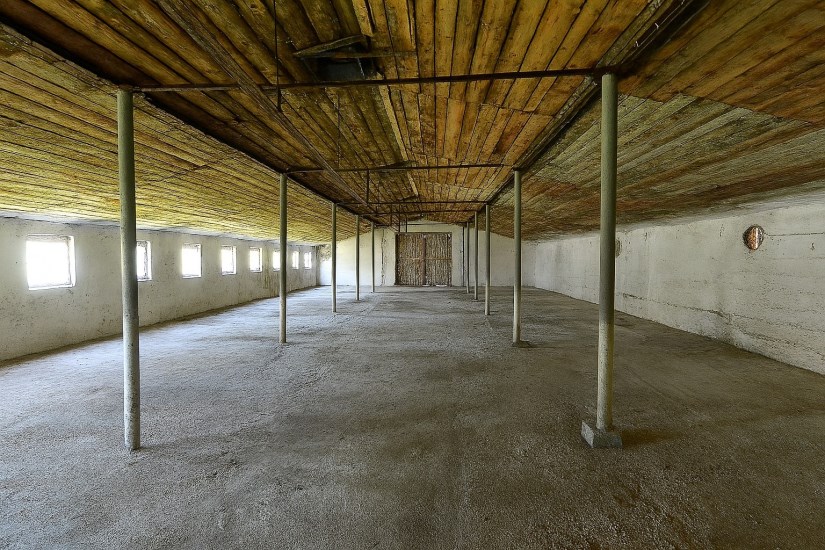 Hala Wynajem - świętokrzyskie, Kielce m., Kielce, Malików