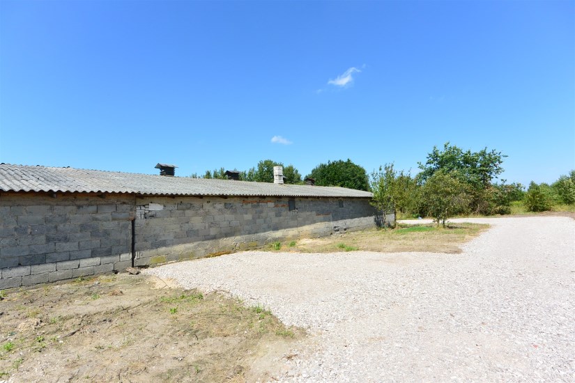 Hala Wynajem - świętokrzyskie, Kielce m., Kielce, Malików