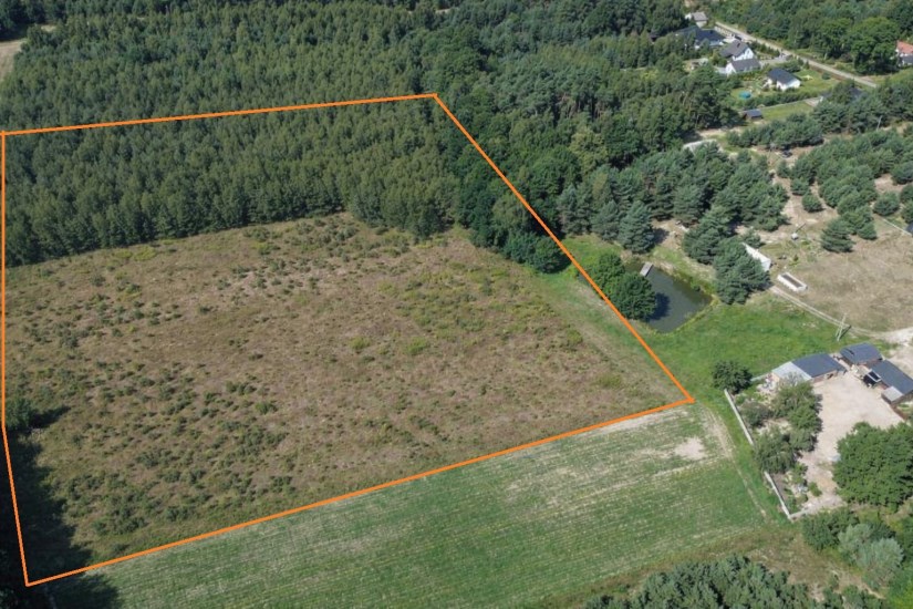 Działka Sprzedaż - świętokrzyskie, staszowski, Bogoria, Bogoria-Kolonia