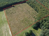 Działka Sprzedaż - świętokrzyskie, staszowski, Bogoria, Bogoria-Kolonia