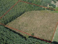 Działka Sprzedaż - świętokrzyskie, staszowski, Bogoria, Bogoria-Kolonia