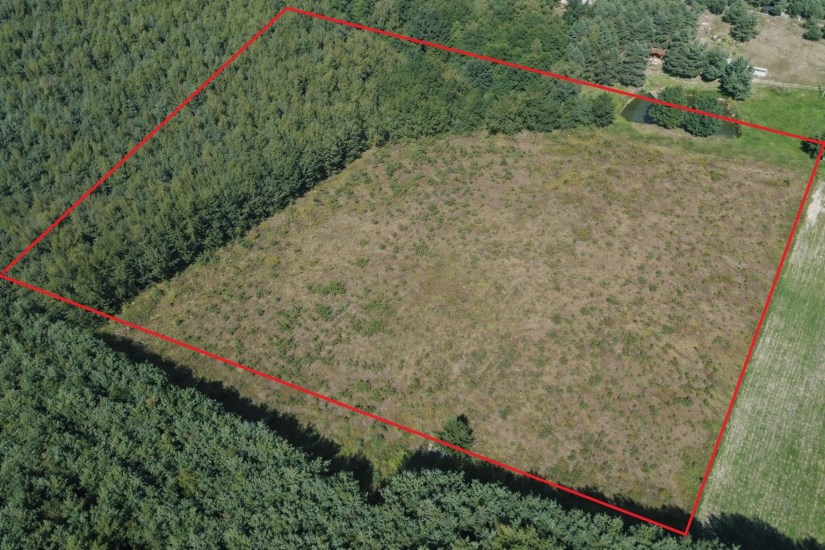 Działka Sprzedaż - świętokrzyskie, staszowski, Bogoria, Bogoria-Kolonia