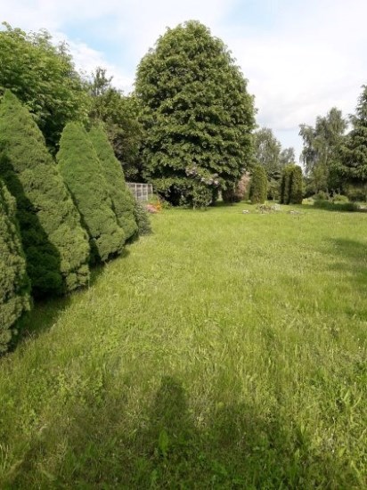 Działka Sprzedaż - świętokrzyskie, kielecki, Pierzchnica, Osiny