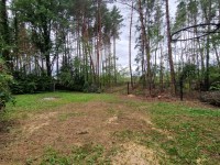 Dom Sprzedaż - świętokrzyskie, kielecki, Miedziana Góra, Ciosowa