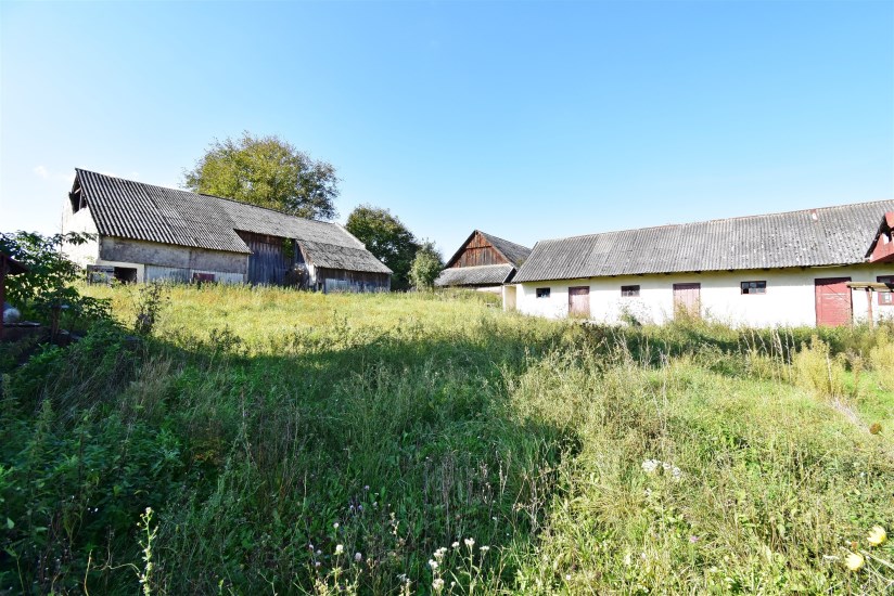 Dom Sprzedaż - świętokrzyskie, jędrzejowski, Wodzisław, Mierzawa