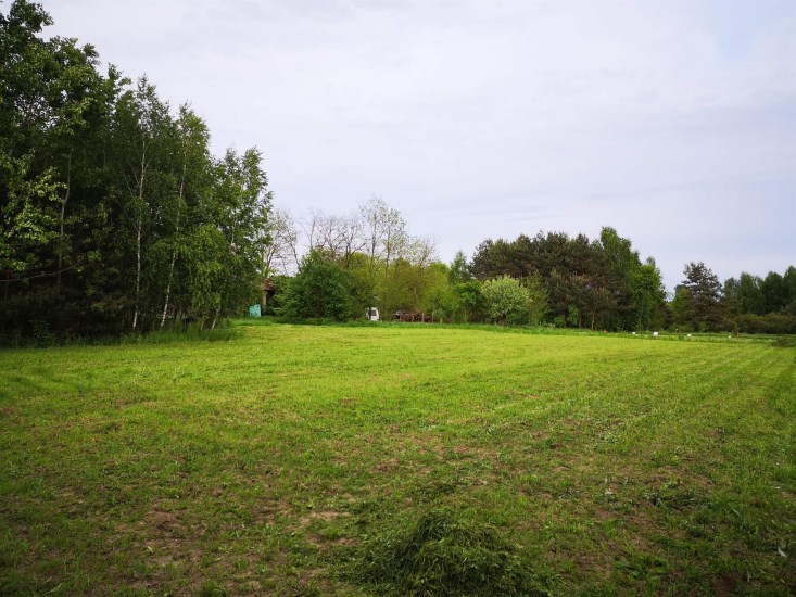 Działka Sprzedaż - świętokrzyskie, buski, Gnojno