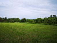 Działka Sprzedaż - świętokrzyskie, buski, Gnojno