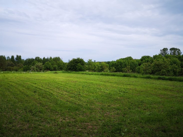 Działka Sprzedaż - świętokrzyskie, buski, Gnojno
